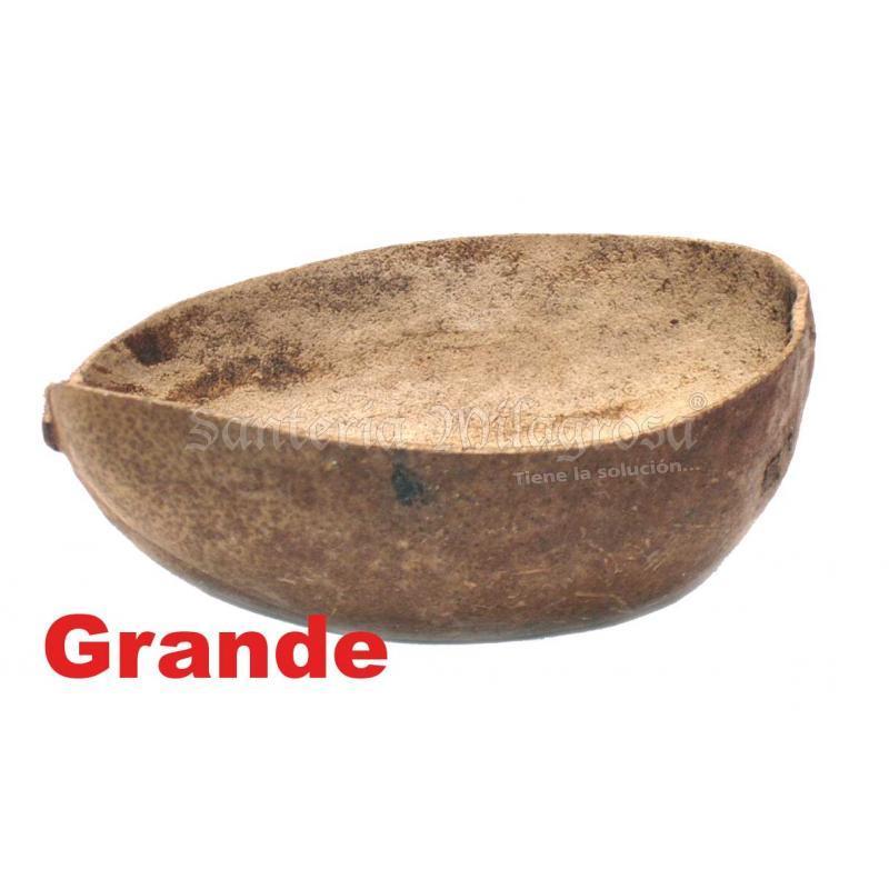 SANT. Jicara Grande (de 16 a 20 cm)