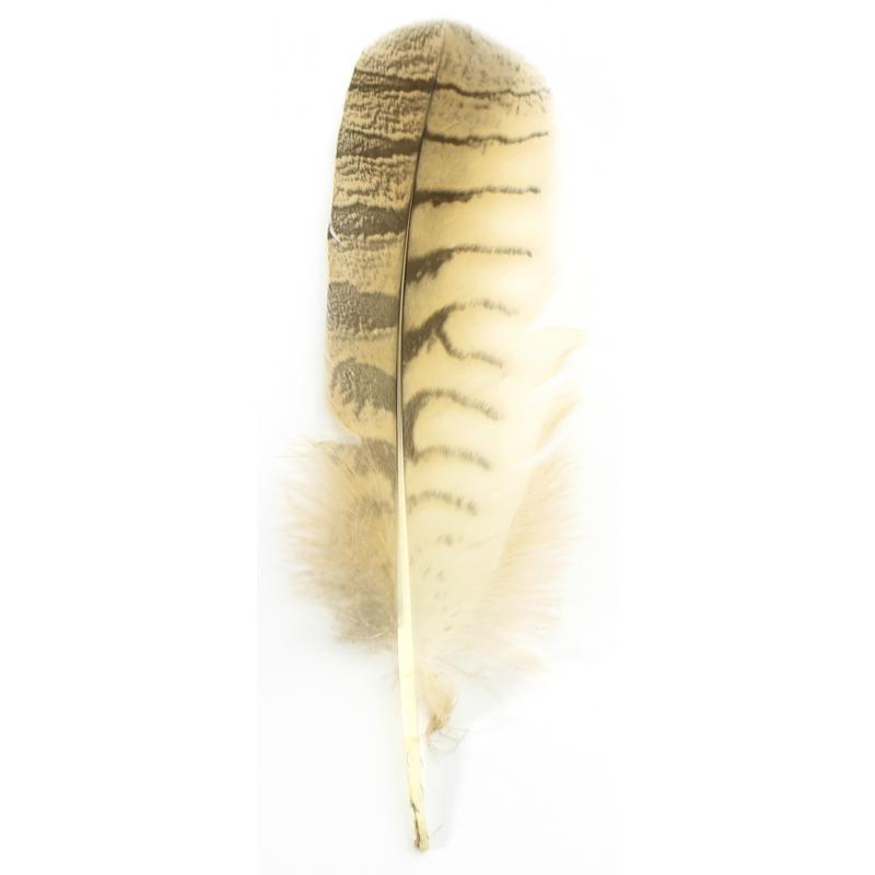 Art. Ritual Pluma Buho Real natural (importada) 15 a 22 cm aprox.