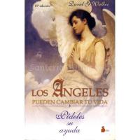 LIBRO Angeles Pueden Cambiar tu Vida (Pideles...) (David Wal...