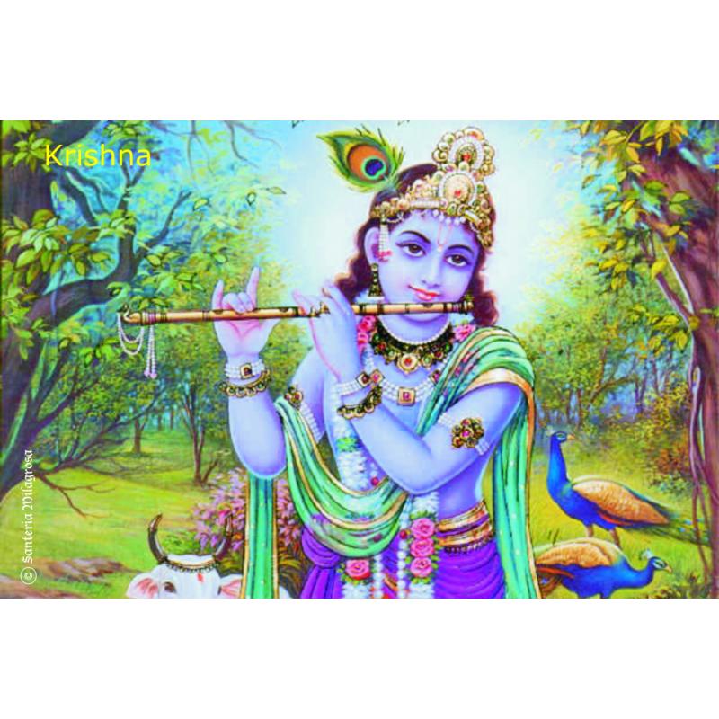 Postal Krishna 10 x 15