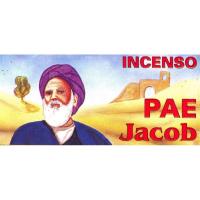 INCIENSO CONO Pai Jacob (Contiene: 20 desfumadores) (Brasil)...
