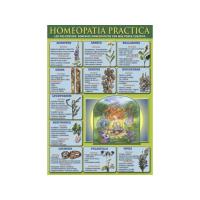 Lamina Homeopatia practica (Los policrestos, remedios homeop...