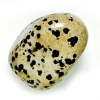 Piedra Gema Rodada Jaspe Dalmata 40 mm (1 UNIDAD)